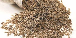 Cumin Seed