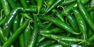 Fresh Green Chilli