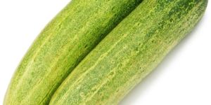 Fresh Cucumber