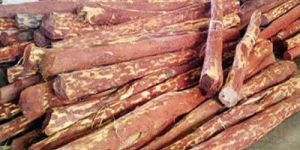 Brown Sheesham Wood Logs