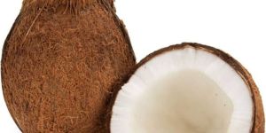 Coconut