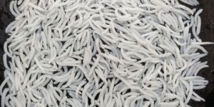 1121 Steam Basmati Rice