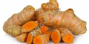 Pure Raw Turmeric Finger