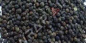 Whole Black Pepper Seeds