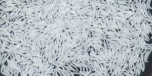 1718 Steam Basmati Rice