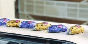 Hygienic Conveyor Belt