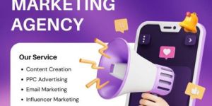 Social Media Services