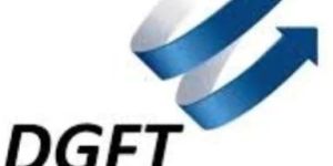 DGFT Consultancy Service