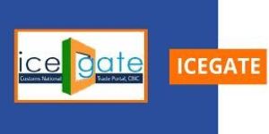 ICEGATE Registration Service