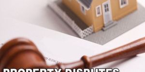 Property Dispute Service