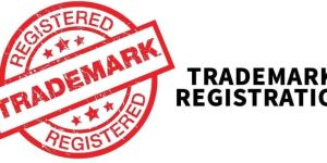 Trademark Registration Service