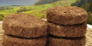 Cow Dung Cakes