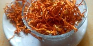 Cordyceps Militaris Mushroom