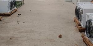 Cold Storage Services