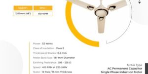 Decorative Ceiling Fan