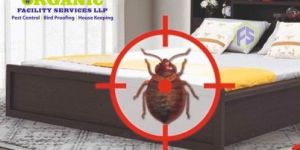 Bed Bug Pest Control