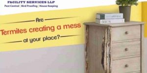 Termite Pest Control Service