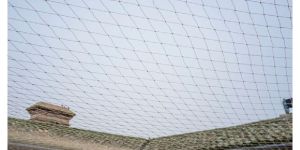Pigeon Safety Nets