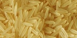 Indian Golden Non Basmati Rice