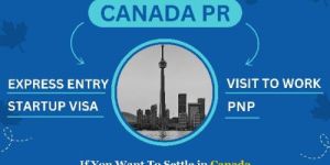 Permanent Residence Visa