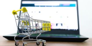 E-commerce Web development Services