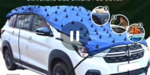 Car Protection Car Spike Cover