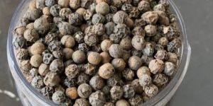 Black Pepper