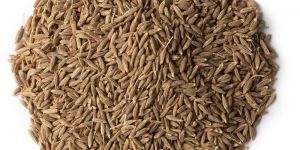 Cumin Seeds