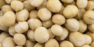 Macadamia Nuts