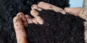 Organic NPK Fertilizer