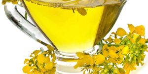 Rapeseed Canola Oil