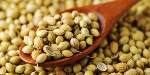 Coriander Seeds