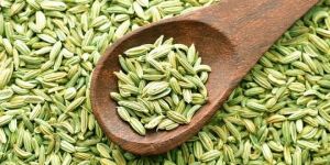 Fennel Seeds