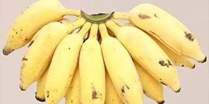 Starchy and Sweet Chakkarakeli Banana