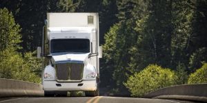 Transportaion Service