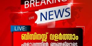 Social Media Marketing Service