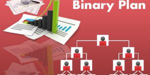 Network Marketing Service