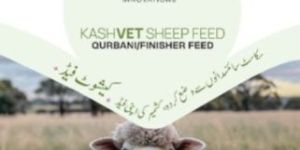 Kashvet Qurbani Finisher Sheep Feed