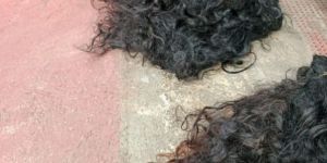 Raw Human Hair