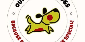 Dog Grooming Service