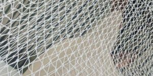 Nylon Anti Birds Net