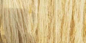 Banana Fiber