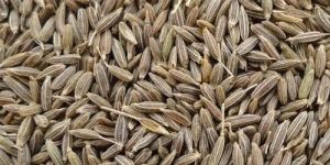 Cumin Seeds
