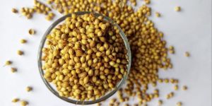 Coriander Seed