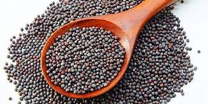 Black Mustard Seeds