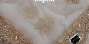 Net Dupatta