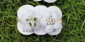 Small Rose Hair Clips (6)