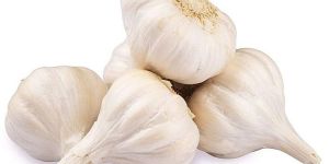 a Grade White Fresh Garlic