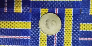 2010 Delhi Commonwealth Game Coin