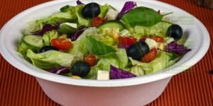 Biodegradable Fibre Molded Sugarcane Bagasse Salad Bowl